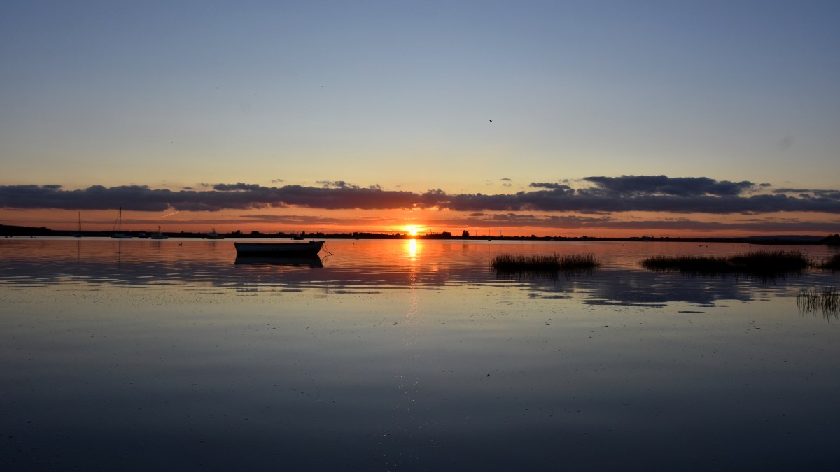 Landscape and Outdoors