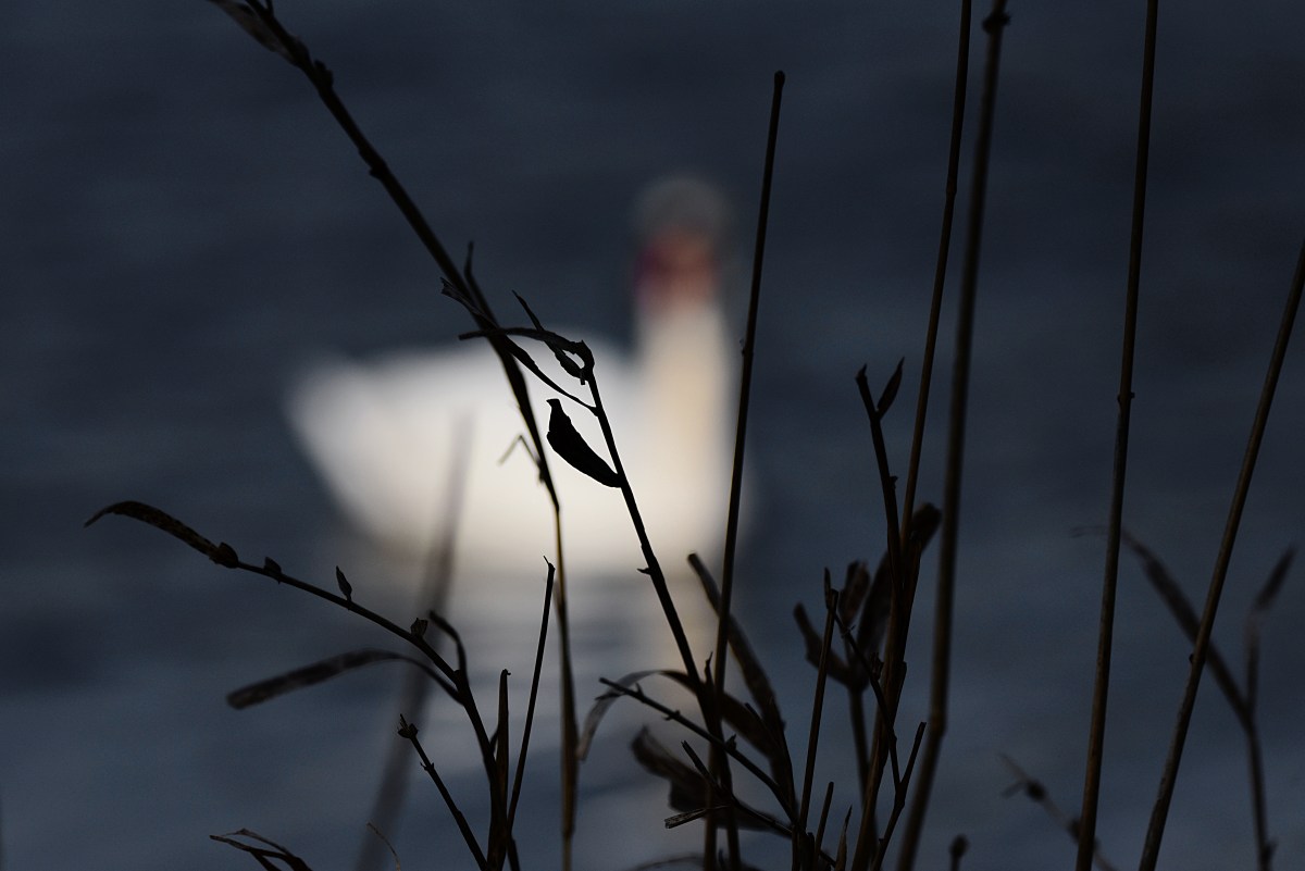 Easter Weekend Camping